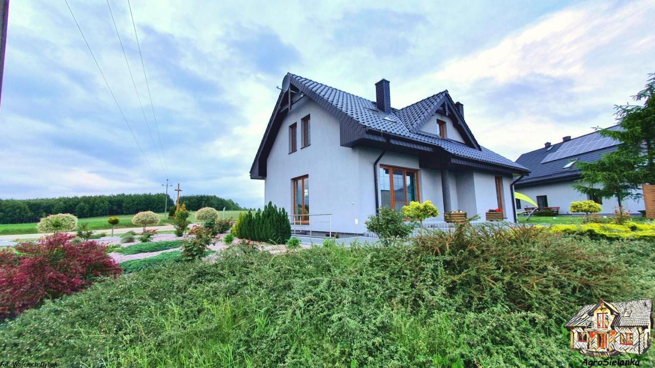 Agrosielanka Villa Lipnica  Eksteriør billede