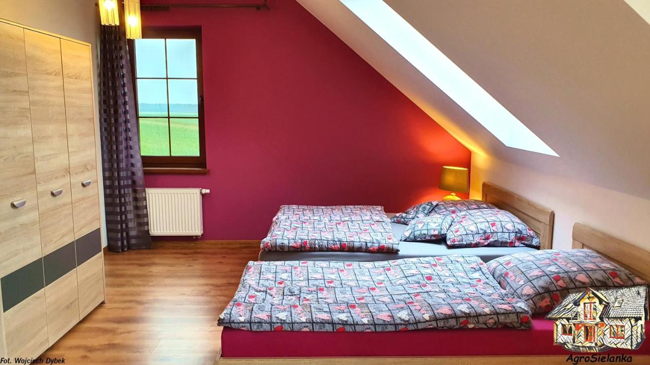 Agrosielanka Villa Lipnica  Eksteriør billede